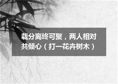 载分离终可聚，两人相对共倾心（打一花卉树木）