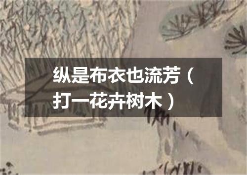 纵是布衣也流芳（打一花卉树木）