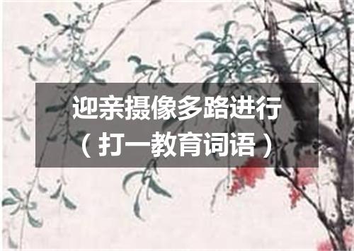 迎亲摄像多路进行（打一教育词语）