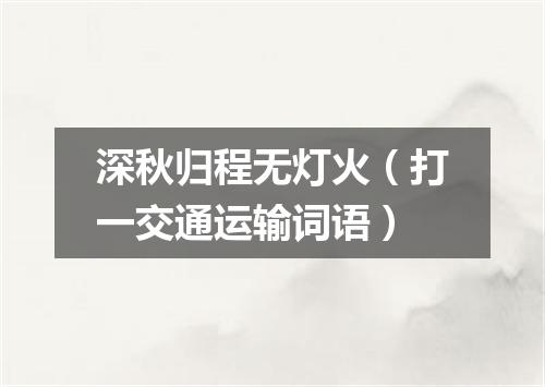深秋归程无灯火（打一交通运输词语）