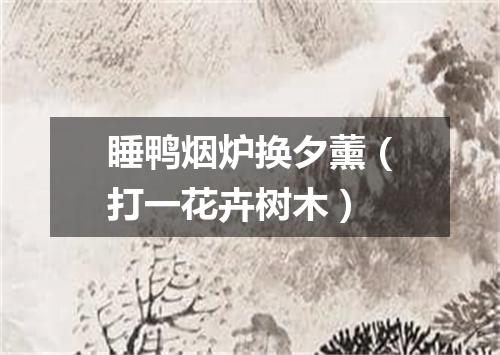 睡鸭烟炉换夕薰（打一花卉树木）