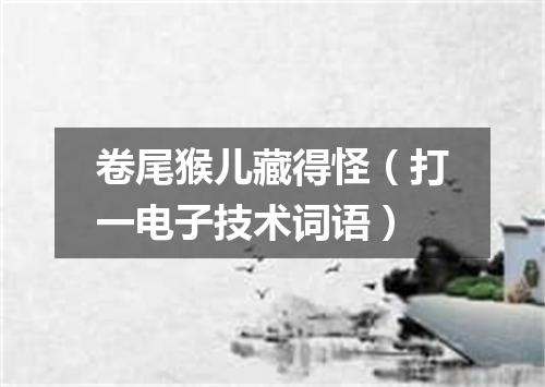卷尾猴儿藏得怪（打一电子技术词语）