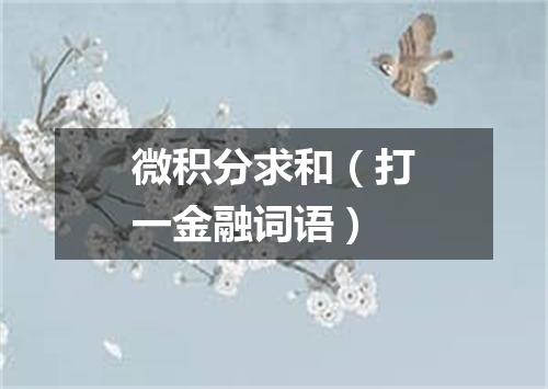 微积分求和（打一金融词语）