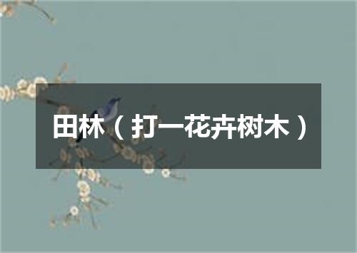 田林（打一花卉树木）