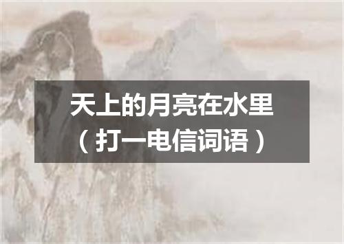 天上的月亮在水里（打一电信词语）