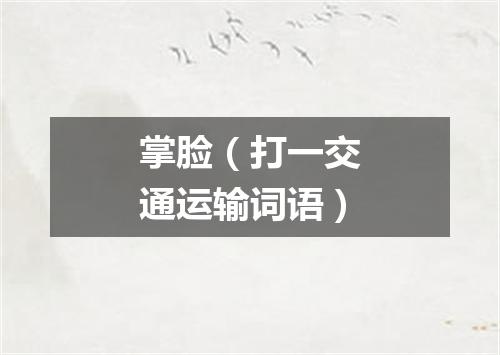 掌脸（打一交通运输词语）