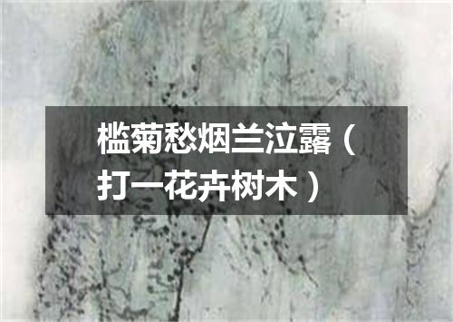 槛菊愁烟兰泣露（打一花卉树木）