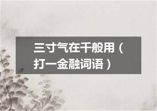 三寸气在千般用（打一金融词语）