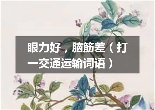 眼力好，脑筋差（打一交通运输词语）