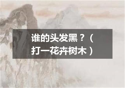 谁的头发黑？（打一花卉树木）