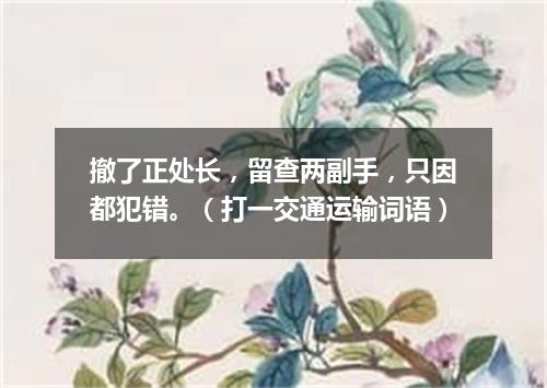 撤了正处长，留查两副手，只因都犯错。（打一交通运输词语）