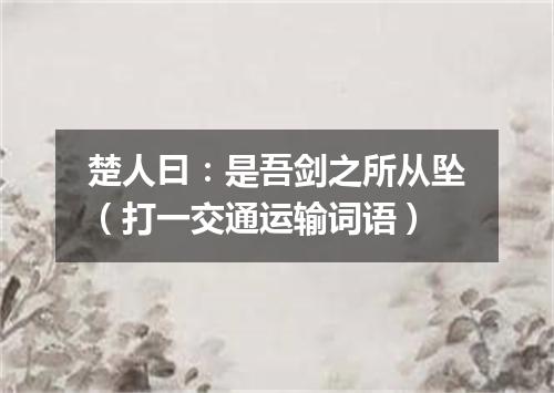 楚人曰：是吾剑之所从坠（打一交通运输词语）