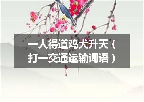 一人得道鸡犬升天（打一交通运输词语）