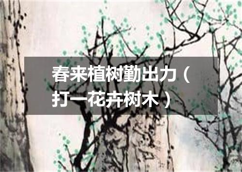 春来植树勤出力（打一花卉树木）