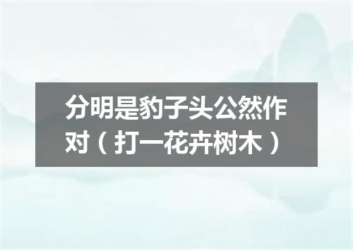 分明是豹子头公然作对（打一花卉树木）