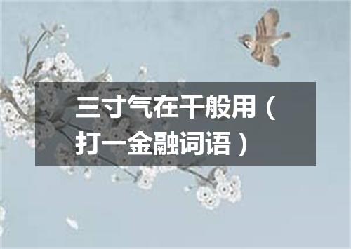三寸气在千般用（打一金融词语）