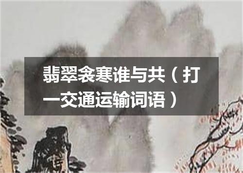 翡翠衾寒谁与共（打一交通运输词语）