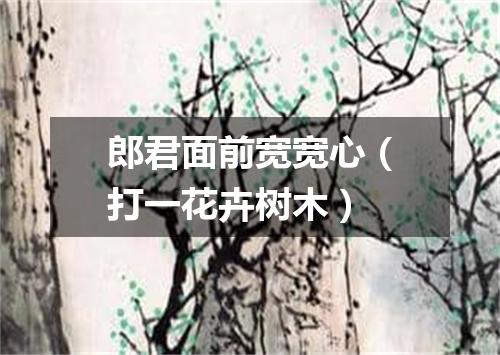 郎君面前宽宽心（打一花卉树木）