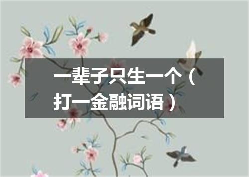 一辈子只生一个（打一金融词语）