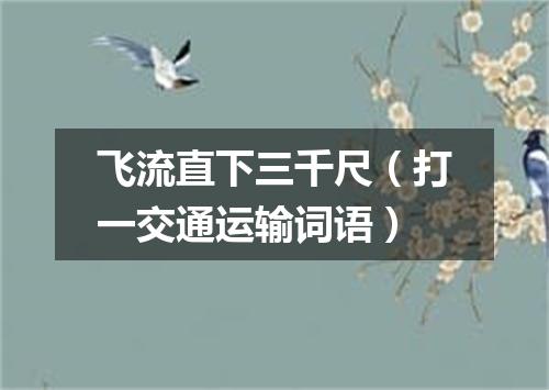 飞流直下三千尺（打一交通运输词语）