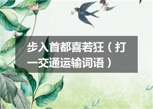 步入首都喜若狂（打一交通运输词语）