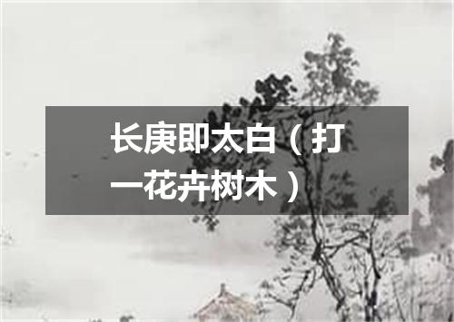长庚即太白（打一花卉树木）