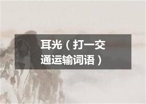 耳光（打一交通运输词语）