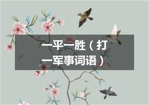 一平一胜（打一军事词语）