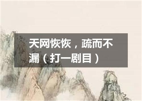 天网恢恢，疏而不漏（打一剧目）