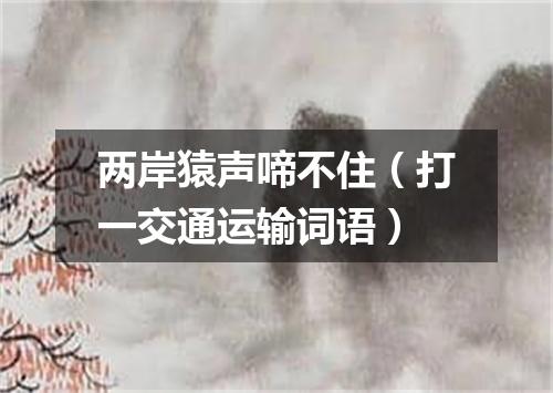 两岸猿声啼不住（打一交通运输词语）