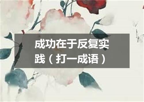 成功在于反复实践（打一成语）