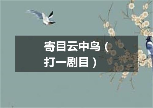 寄目云中鸟（打一剧目）