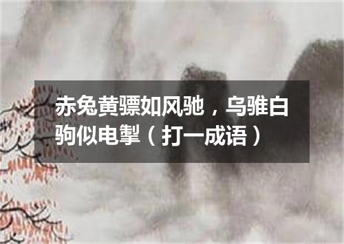 赤兔黄骠如风驰，乌骓白驹似电掣（打一成语）