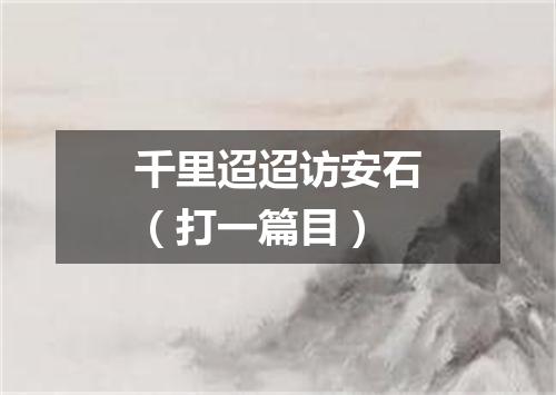 千里迢迢访安石（打一篇目）
