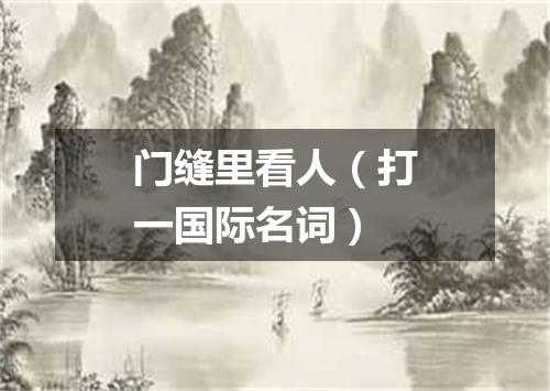门缝里看人（打一国际名词）