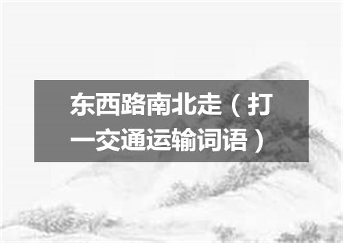 东西路南北走（打一交通运输词语）