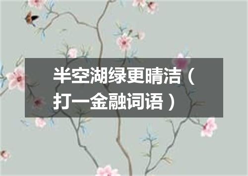 半空湖绿更晴洁（打一金融词语）