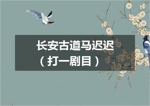 长安古道马迟迟（打一剧目）