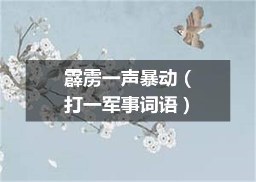 霹雳一声暴动（打一军事词语）
