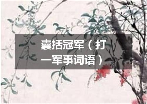 囊括冠军（打一军事词语）