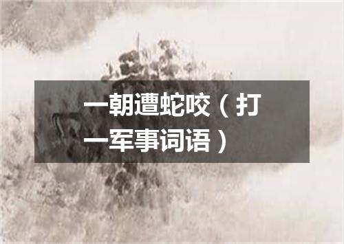 一朝遭蛇咬（打一军事词语）