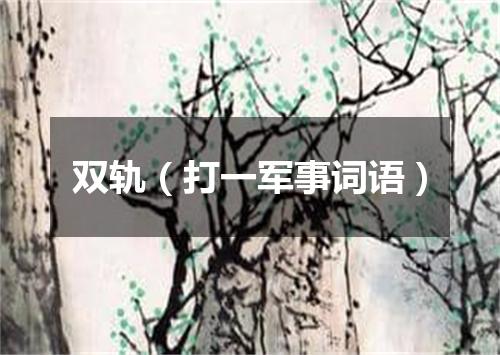双轨（打一军事词语）