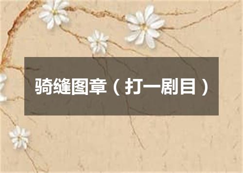 骑缝图章（打一剧目）