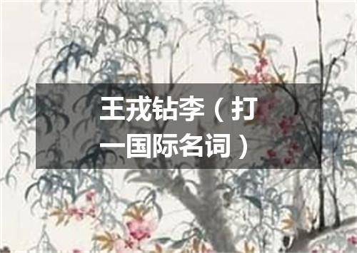 王戎钻李（打一国际名词）