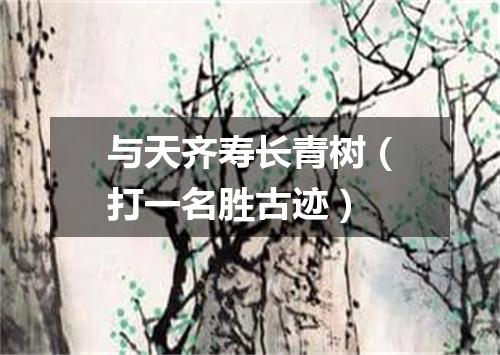 与天齐寿长青树（打一名胜古迹）