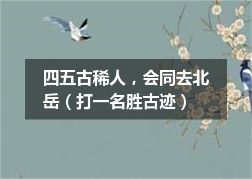 四五古稀人，会同去北岳（打一名胜古迹）
