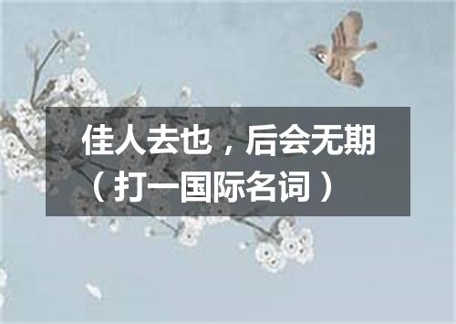 佳人去也，后会无期（打一国际名词）