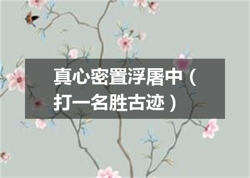 真心密置浮屠中（打一名胜古迹）