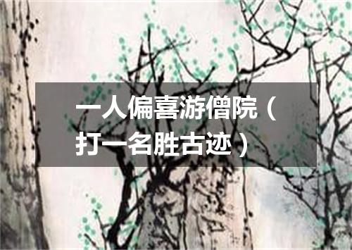 一人偏喜游僧院（打一名胜古迹）