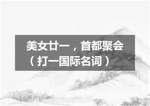 美女廿一，首都聚会（打一国际名词）